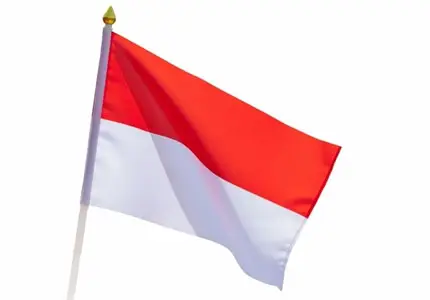 Bandiere personalizzate