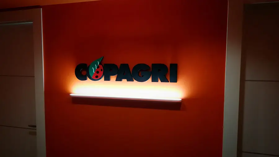 logo tridimensionale forex 20 mm